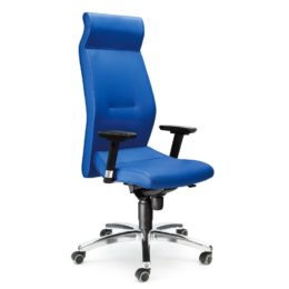 kancelarske-kreslo-antares-1800-lei-nosnost-160-kg-zaruka-5-let