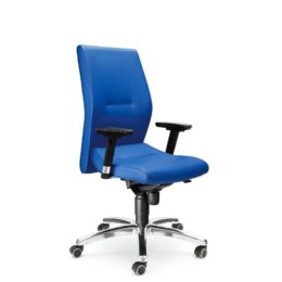 kancelarske-kreslo-antares-1820-lei-nosnost-160-kg-zaruka-5-let kancelarske-kreslo-antares-1820-lei-nosnost-160-kg-zaruka-5-let