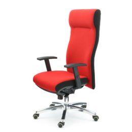 Zátěžové křeslo MULTISED BZJ 485 XAL nosnost 200 kg