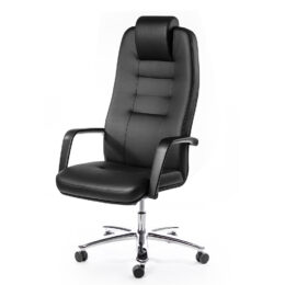 Zátěžové křeslo MULTISED BZJ 445 XAL eco kůže nosnost 200 kg 2021