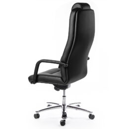 Zátěžové křeslo MULTISED BZJ 445 XAL eco kůže nosnost 200 kg 2021 zadek 1