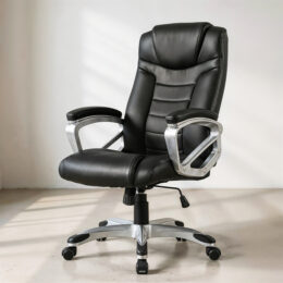 BOSS image 1